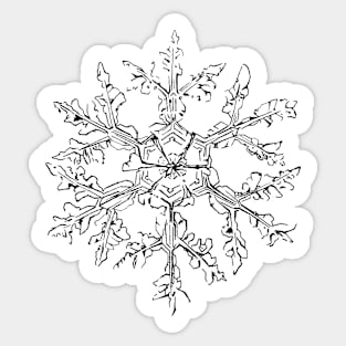 snowflake Sticker